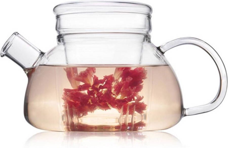 600 ml 3-in-1 Glazen Theepot met verwijderbare glazen infuser en grote schenktuit zonder druppelvrij gieten