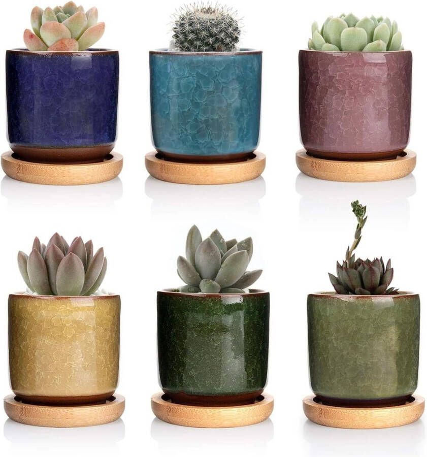 6CM Gekleurde Keramiek Succulente Plantenpot Set van 6 Binnen Vetplant Bloempot met Bamboe Onderzetter en Afvoergat voor Sappige Planten Decoratief Geschenk Flower Pot