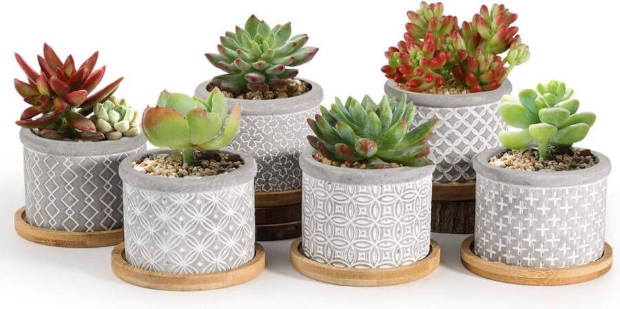 6CM Vetplant Bloempot Set van 6 Klassieke Cement Succulente Plantenpot met Bamboe Onderzetter Ronde Binnen Klein Cactus Pot met Afvoergat Grijs voor Sappige Aloë Kruid Decoratieve Geschenk