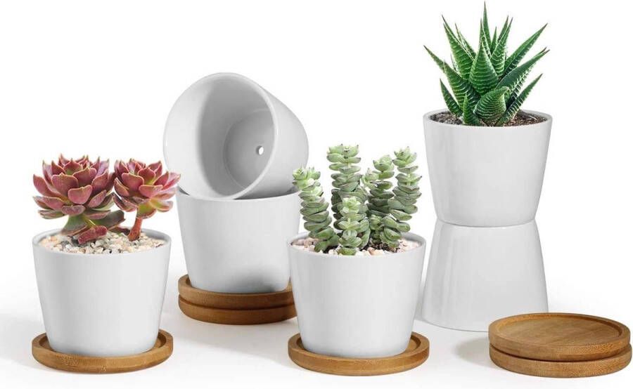 8 cm Keramische Vetplant Cactus Potten met Onderschotel Rond Set van 6 Kleine Bloempot Wit voor Mos Mini Binnen