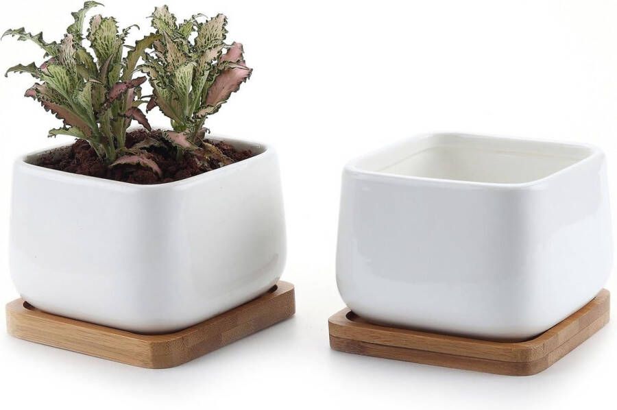 9 5CM Succulente Plantenpot Set van 2 Vierkant Keramiek Vetplant Bloempot met Bamboe Onderzetter Binnen Klein Cactus Pot met Afvoergat Wit voor Sappige Aloë Kruid Decoratieve Geschenk