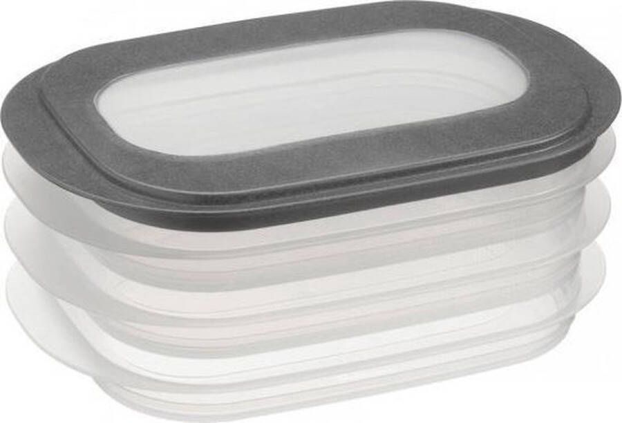 Sunware 9x Vleeswarendoos voedsel bewaarbakjes transparant blauwgrijs Vleeswaren bakjes Broodbeleg bewaardoos