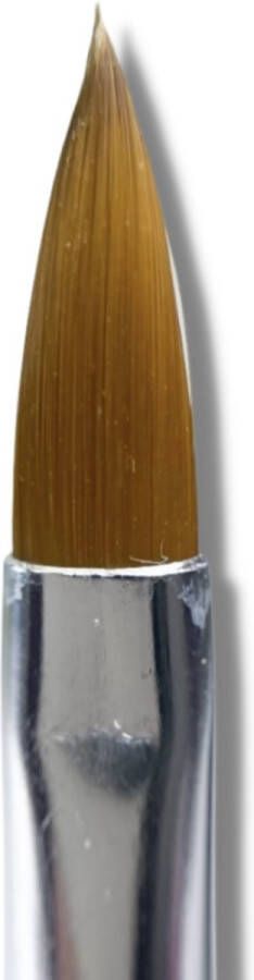 Acryl penseel synthetisch oval #8 Acryl penseel Voordelig Goedkoop Beginner Nagelstyliste Nail tools