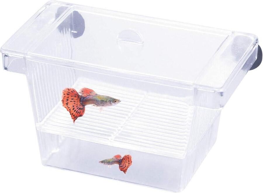 Afweekstation voor vissen en garnalen brede isolatiebox met zuignappen transparante kweekbak voor aquarium Kweekbak