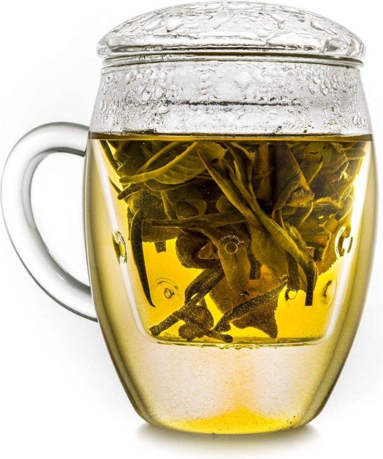 Alles-in-één Groot theeglas Theekopje met zeef en deksel 400ml Ideale theemaker dubbelwandige theeglazen