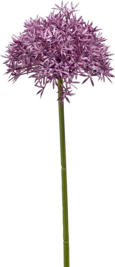 Emerald Allium Sierui kunstbloem losse steel paars 62 cm Natuurlijke uitstraling Kunstbloemen