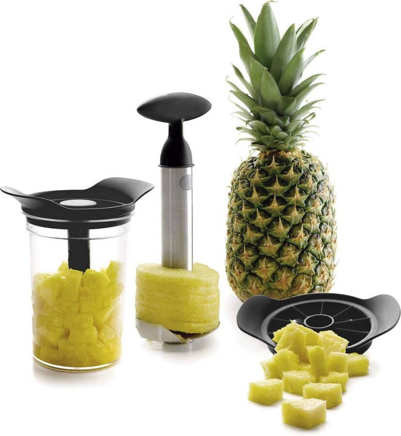 Ananassnijder Ananassnijders Fruitsnijder Ananasboor Ananas Snijder