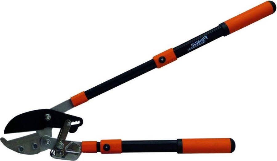 Astamboss takkenschaar ratelschaar voor tuinieren zwart-oranje 67 x 28 x 35 cm 01100