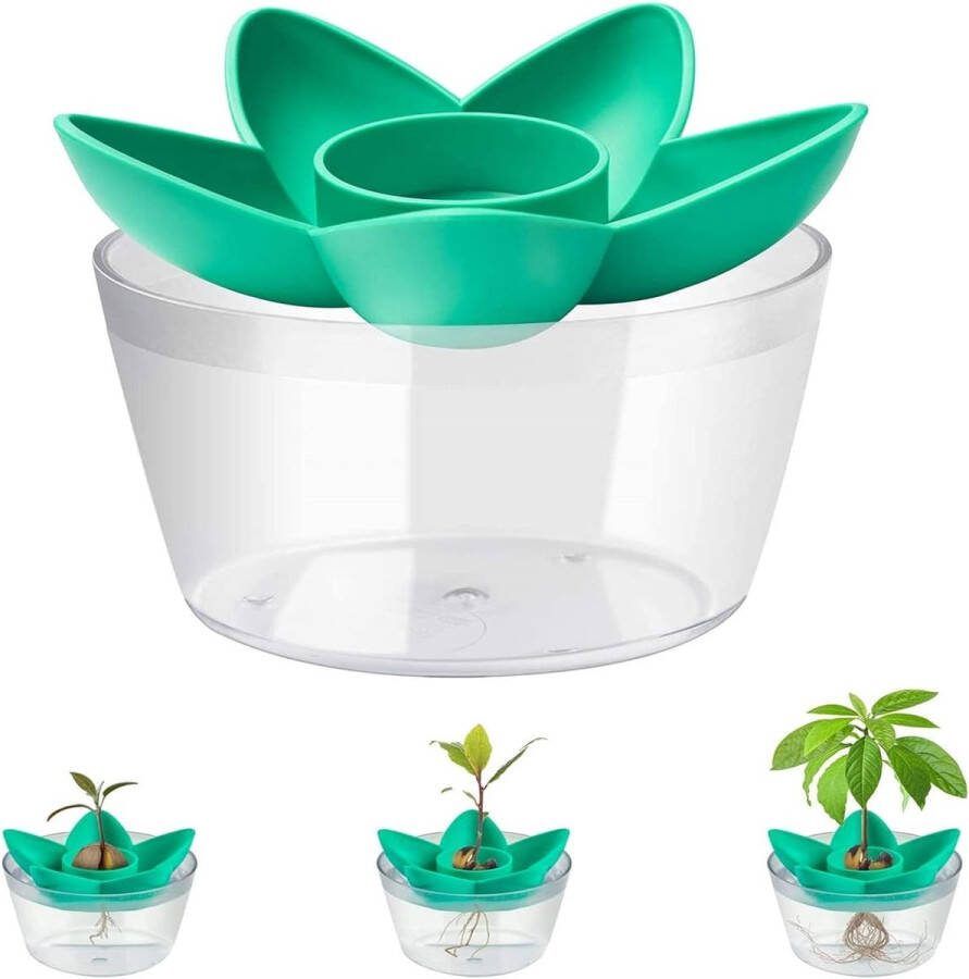 Avocado zaden kiemen komset verjaardagscadeau voor tuin zaden starter avocadoboom groei kit alligator plantenschaal indoor teelt bloempot met bodemplaat (geen zaden