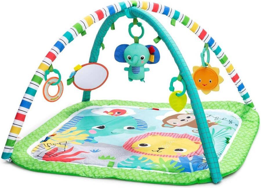 Baby Activity Gym & Play Mat met Taggies Groen 185x291x291 Inch