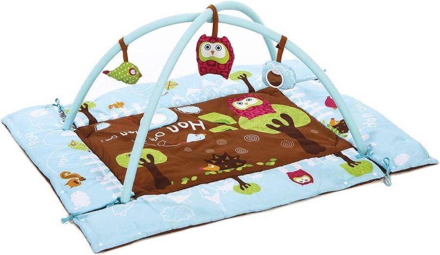 Baby Gym met Uil Activiteiten & Ontwikkelingsspeelgoed