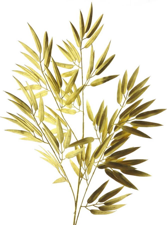 Bamboo spray gold 98cm