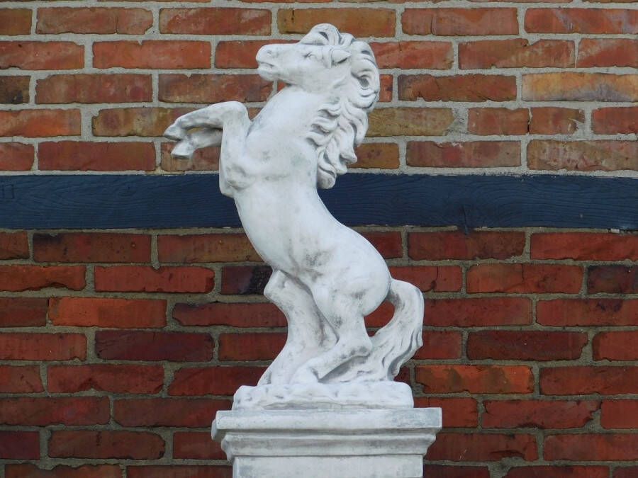 Beeld Paard 80 cm Steen Tuinbeeld