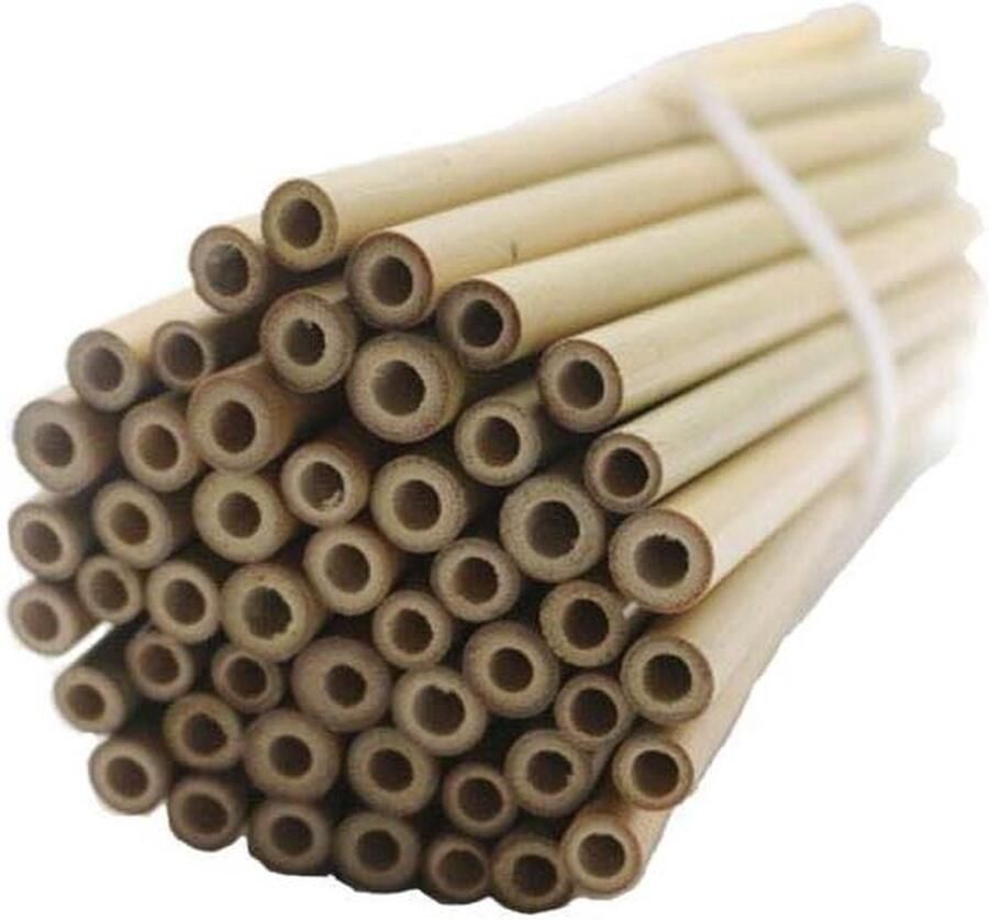 Bijenhotel bamboebuisjes vulling 50 stuks insectenhotel wilde bijenhotel 20 cm insectenhuis bijen nesthulp waterdicht gladde