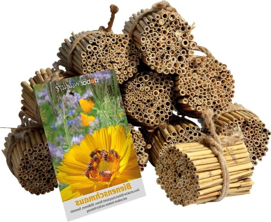 Bijenhotel Knutselset Rieten Rietjes Nesthulp 9cm Inclusief Wilde Bloemzaden
