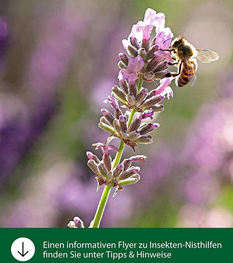 Bijenhotel Trentino Ø 15 cm lengte 175 cm populierenhout beige bruin insectenhotel natuur