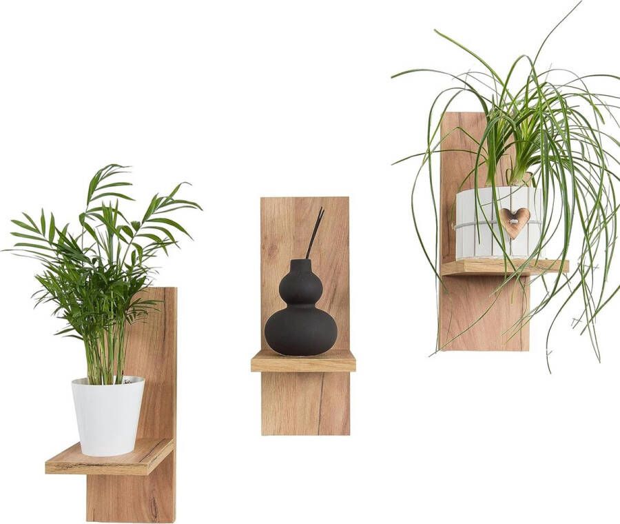 Bloemenrek set van 3 stijlvolle houten wandplanken voor je planten en wanddecoratie (Craft)