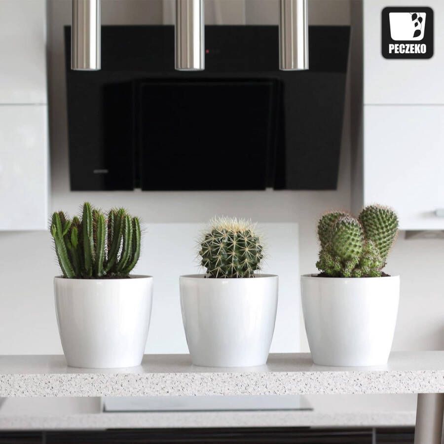 Bloempot plantenpot overpot kunststof decoratief groot set van 2 stuks kruidenpot wit doorsnede 12 cm