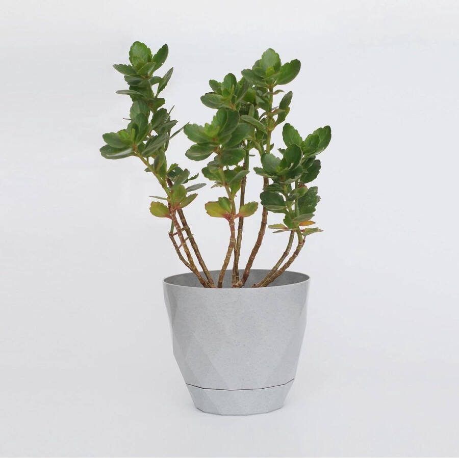 Bloempotset zelfbewaterend 2 stuks grijs 22 cm diameter kunststof bloempot buiten irrigatiesysteem