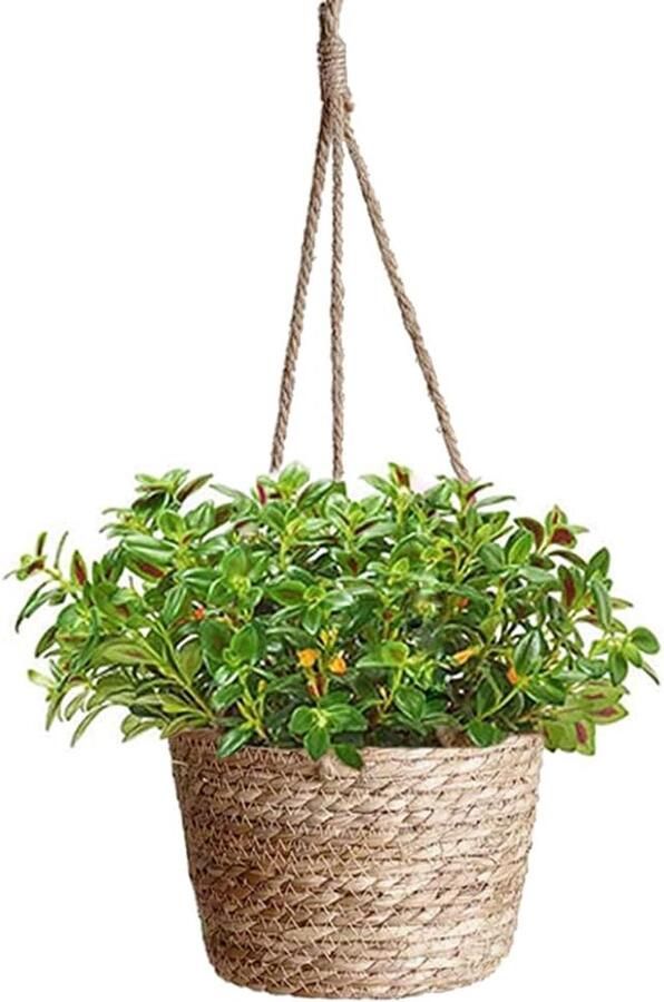 Bloempotten hangend zeegras plantenpot hangende plantenmand handgeweven plantenhanger met hangend touw voor vetplanten cactussen kruiden voor binnen en buiten (zeegras)
