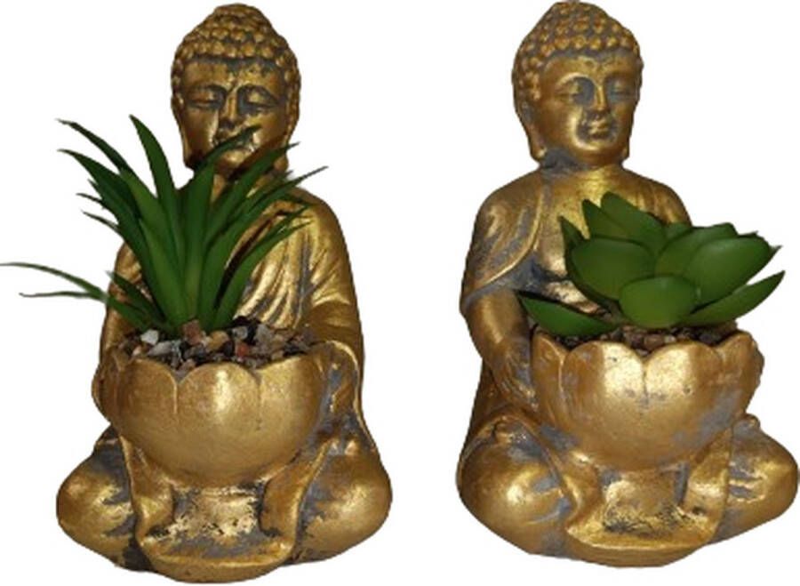 Merkloos Sans marque Boeddha met vetplantje Goud Boeddha Kunstplanten 9.5 x 9.5 x 13 cm