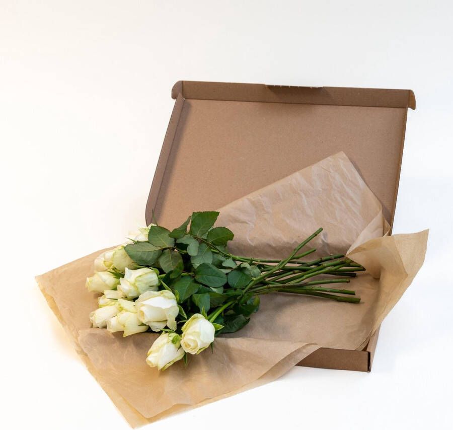 Boeket met 12 witte rozen van 35 cm lengte bezorgd via brievenbus