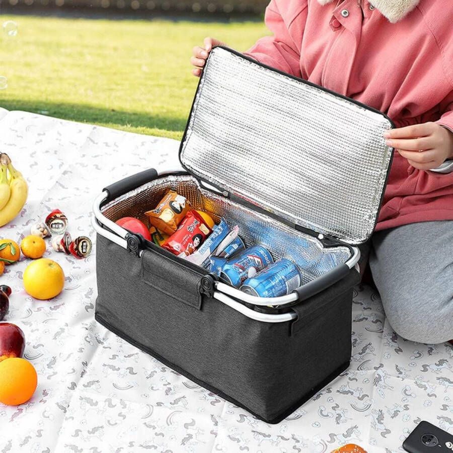 Boodschappenmand \koelmand koeltas picknickmand 330 Grams