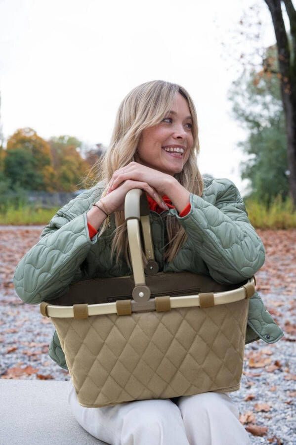 Boodschappenmand \koelmand koeltas picknickmand