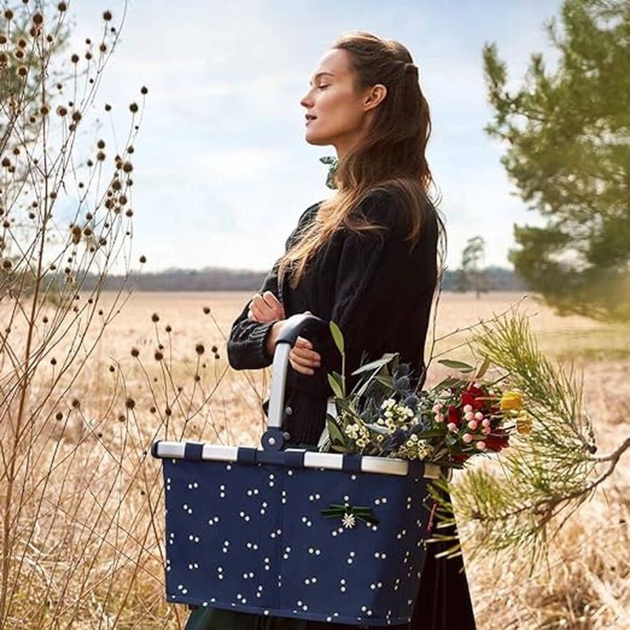 Boodschappenmand \koelmand koeltas picknickmand ‎48.01 x 27.99 x 29.01 cm
