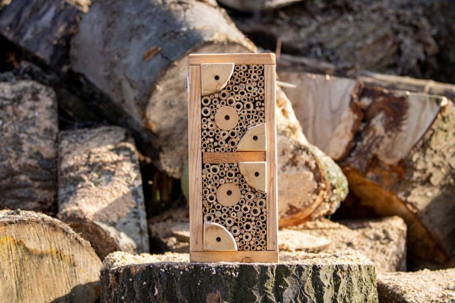 Boomstijl Insectenhotel de Reuzenmier hout 20x15x40 cm