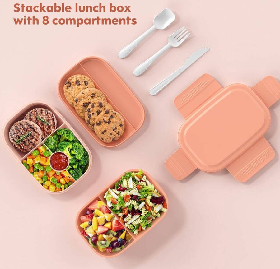 Box Container lunchbox \ lunchbox adult