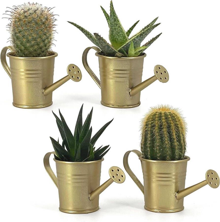 Box Set van 4 mini-gieters decoratieve vaas voor vetplanten kleine bloemen decoratie voor huis tuin balkon goud planter box