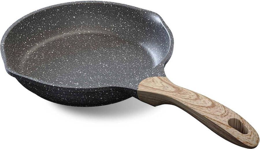 Braadpan 20 cm pan inductie met antiaanbaklaag gegratineerde kookgerei omeletpan met hittebestendige handgreep verzonden naar alle warme bronnen PFOA-vrij