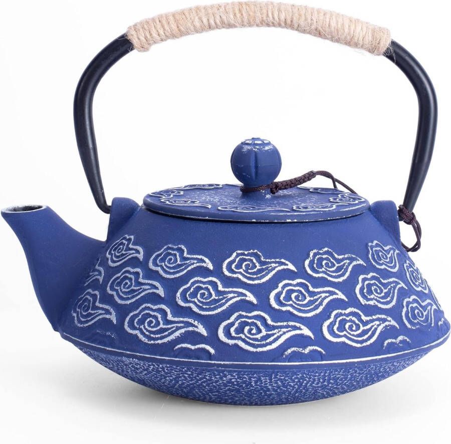 Bredemeijer Cast Iron Teapot Japanese Teapot with Infuser for Loose Leaf 800 ml Tea Kettle for Stove Coated with Enamelled Interior Blue