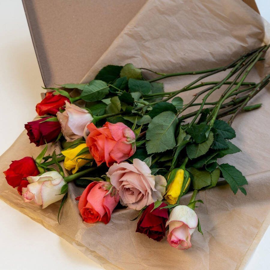 Brievenbus pakket met 12 rozen in gemixte kleuren rozen cadeau boeket