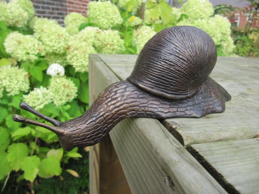 BRONZEN SLAK RANDHANGER BRONS TUINBEELD
