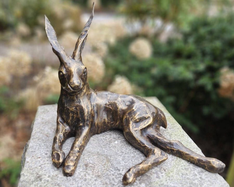 BRONZEN TUINBEELD HAAS BRONZEN DIERENBEELD