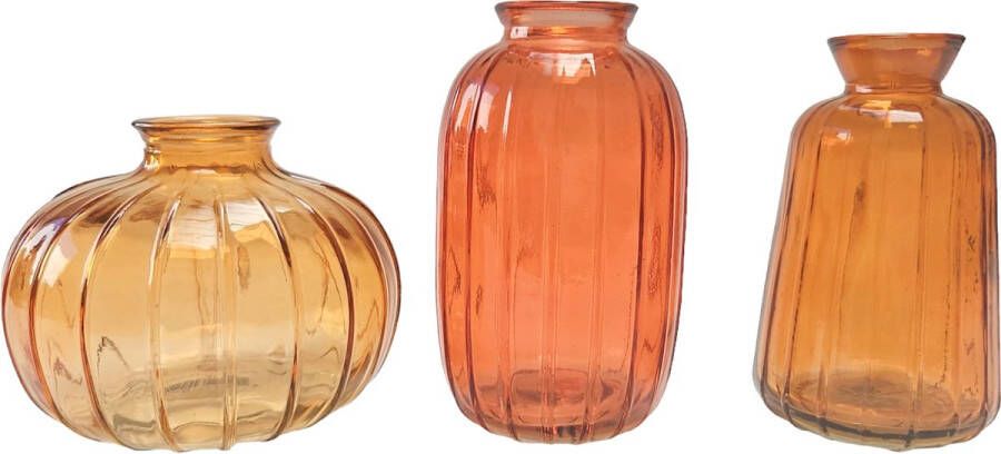 Cactula set van 3 glazen flesjes vaasjes 7 x 11 cm Orange