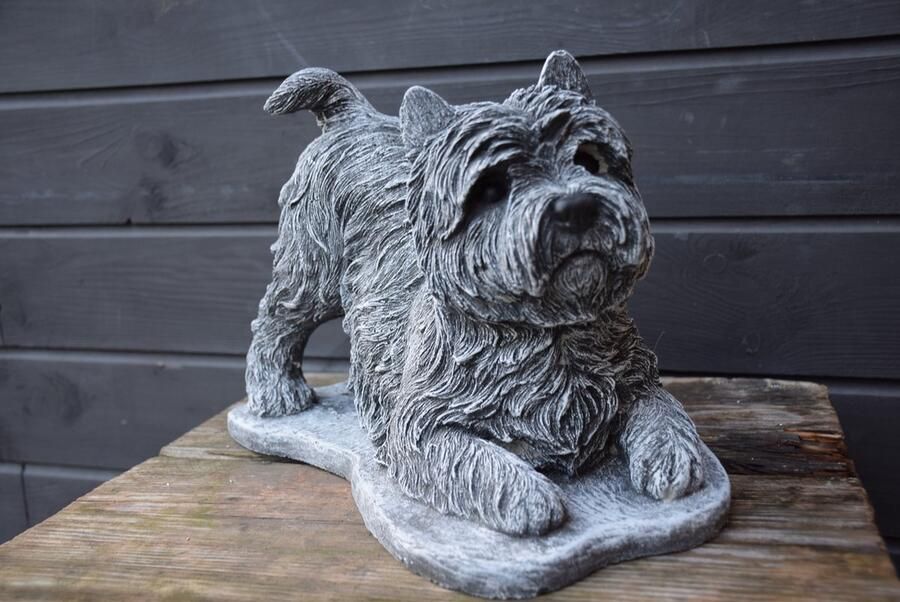 Cairn Terrier betonnen (tuinbeeld)