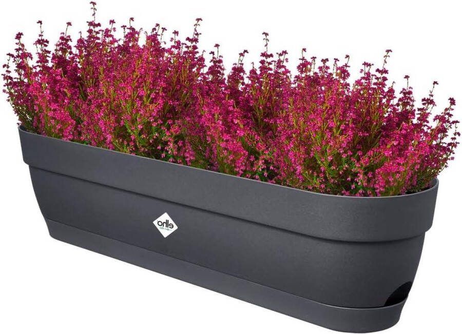 Campana Balkonbak 70 voor Balkonplanten Ø 69.0 x H 17.0 cm Antraciet