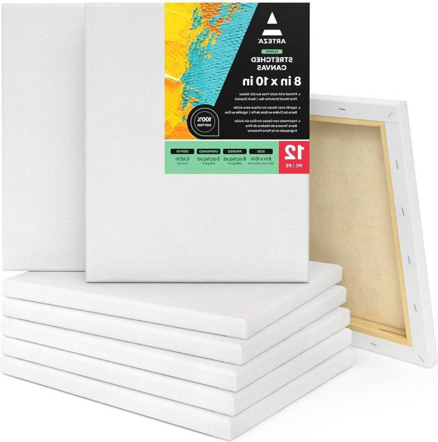 Canvasdoek 203x254 cm Set van 12 Geprepareerd Opspannen Schildersdoek 100% katoen Schildertechnieken Kunstschildersbenodigdheden Beroep Hobby schildersdoek groot