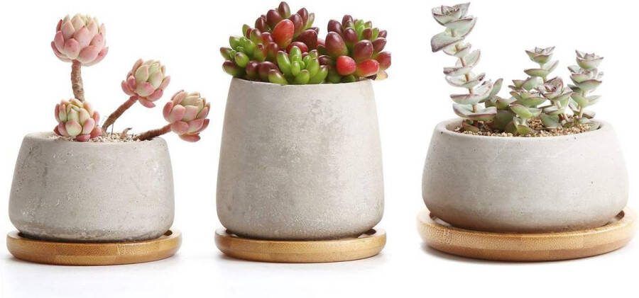 Cement set van 3 potjes voor vetplanten rond voor cactus miniatuurplanten