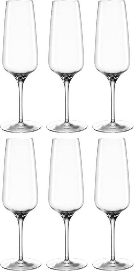Cesti Champagneglas set vaatwasserbestendig Prosecco-kelk schokbestendig alledaagse champagneglazen lage steel hoogwaardig en elegant 240 ml set van 6