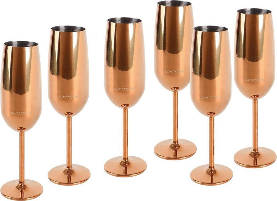 Champagneglas Onbreekbare Glazen Feestglazen Cadeauset 6-delig 250 ml Koper Roestvrij Staal