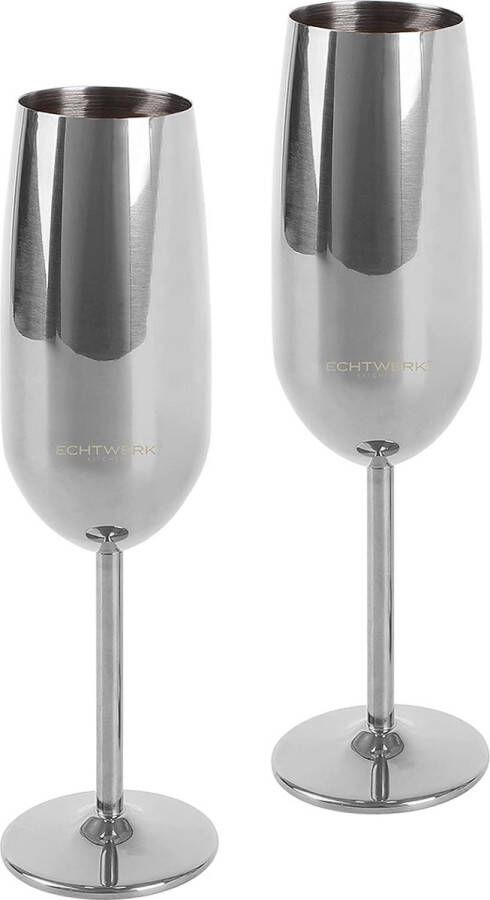 Champagneglas roestvrij staal onbreekbare glazen feestglazen voor bruiloft verjaardag picknick cadeauset 2-delig 250 ml Silver Edition