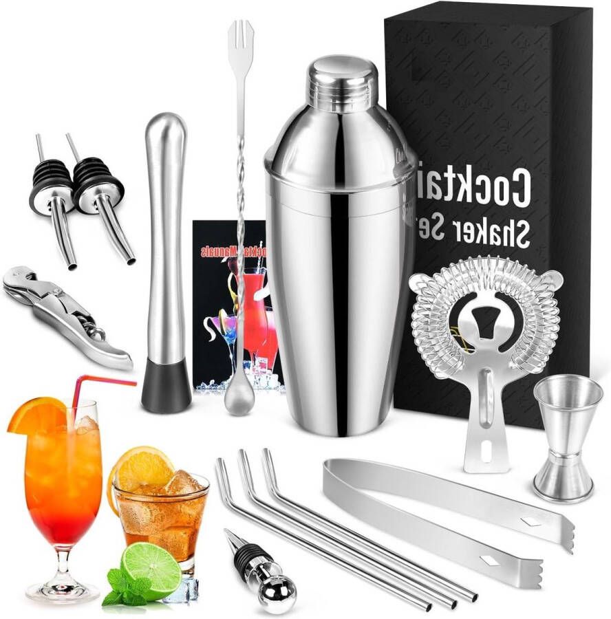 Cocktailset 14-delige RVS Bar Tool Kit voor Drank Mixen Mat Zilver Set om Cocktails te Maken