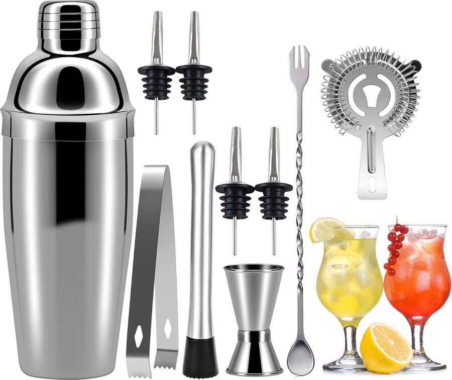 Cocktailshaker set 750 ml cocktailshaker roestvrij staal professionele cocktailmixer bar cocktailset 10-delige roestvrij staal shaker bar accessoires barware set voor thuis of in de bar