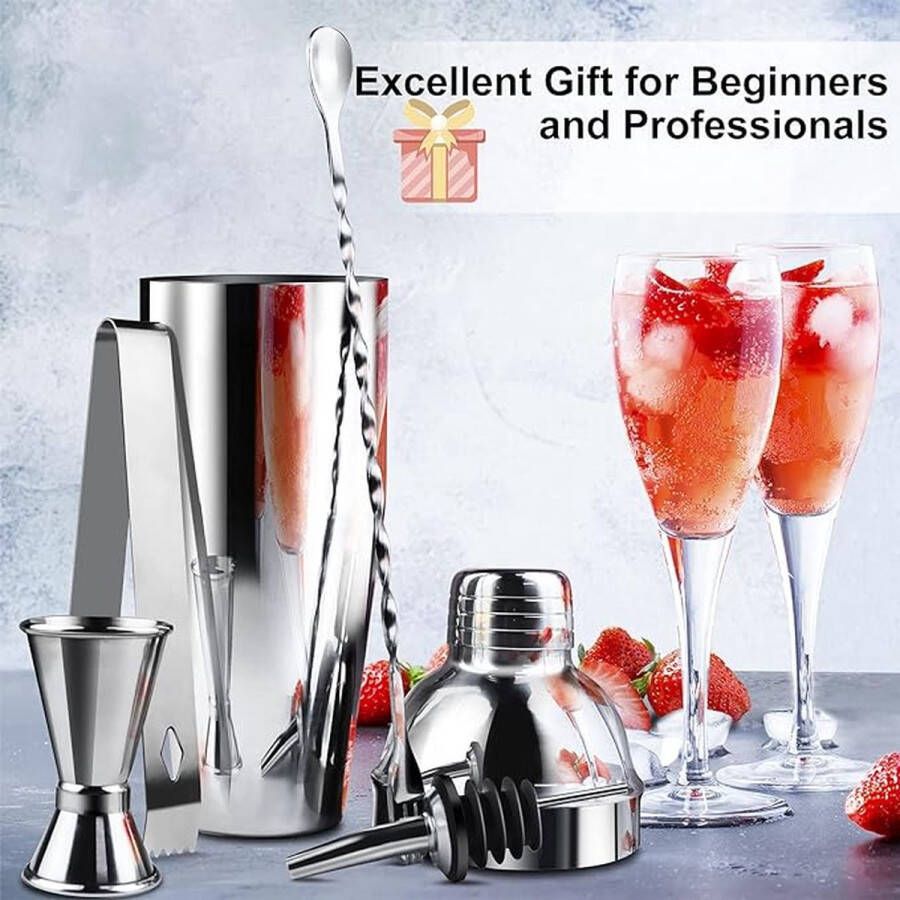 Cocktailshaker set Premium cocktailshakerset