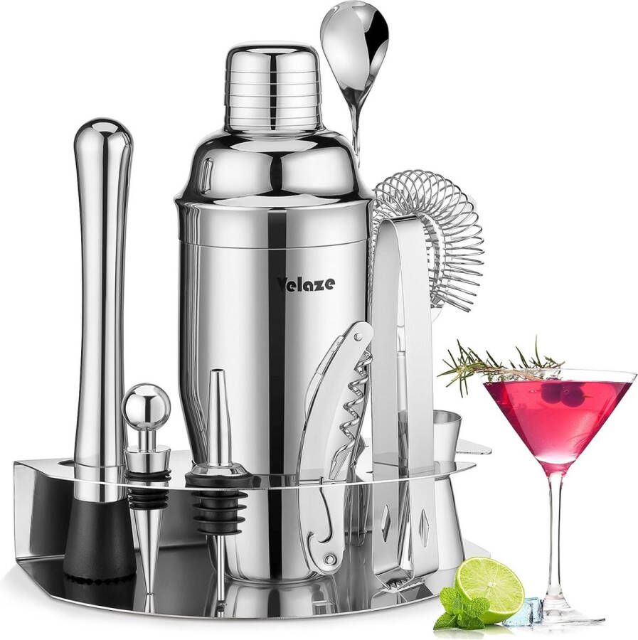 Cocktailshakerset 10-delig roestvrijstalen cocktailset voor het mixen van alcoholische dranken barmanset met roestvrijstalen standaard cocktailmixset met baraccessoires voor thuisbar