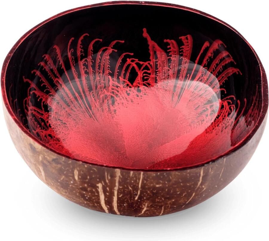 Kokosnoot schaal RUBY incl. onderzetter snack schaal decoratieve schaal voor sleutels sieraden schaal serveerschaal modern splash rood